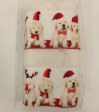 COMPLETO SPUGNA DIGITALE NATALE  1+1 Tellini S.r.l. Ingrosso Abbigliamento